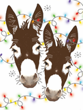 Donkey/Horse Christmas Card: Donkeys wrapped in Lights