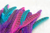 Mane Feathers for Horses - SET OF 3