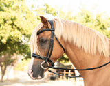 Vivace Equine Lina Patent Leather Cavesson Bridle