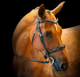 Vivace Equine Lina Patent Leather Cavesson Bridle