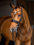 LeMieux Kudos Double Bridle