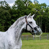 Thinline Flexible Filly Slow Feed Grazing Muzzle