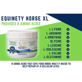 Equinety Horse XL Supplement