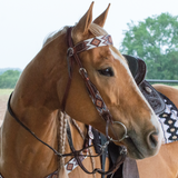 Circle Y Infinity Diamond Headstall