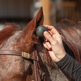 Classic Equine Ear Plugs