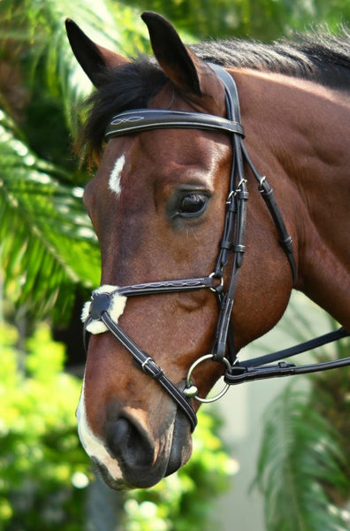 Ovation ATS Fancy Padded Figure 8 Bridle – Tack Room Too