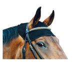 Back On Track Therapeutic Equine Head Cap